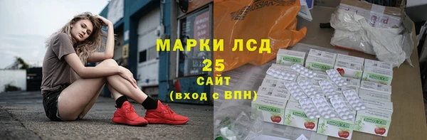 ECSTASY Покачи
