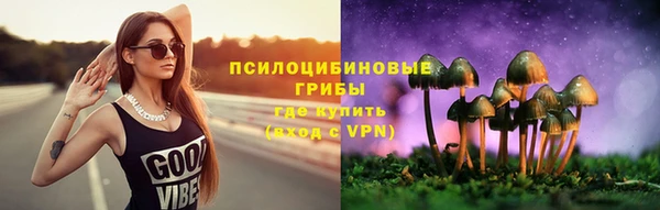 ECSTASY Покачи