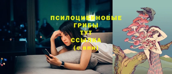 ECSTASY Покров